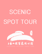 Attractions Tour