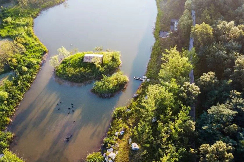 天鹅湖