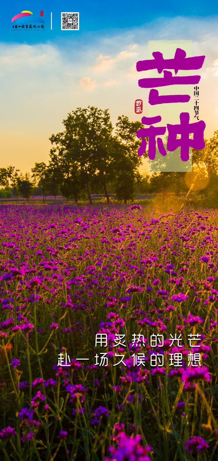 微信图片_20220606150303.jpg