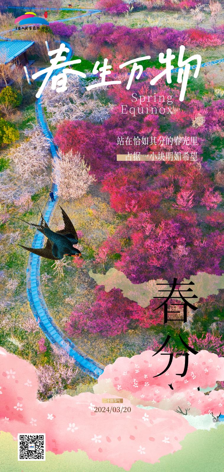 春分1.jpg